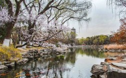 海淀风景区