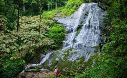 高黎贡山旅游攻略，如何规划一次完美的探险之旅？