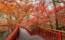 筐子沟生态风景区