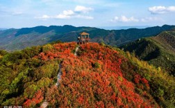 江西杜鹃山景区