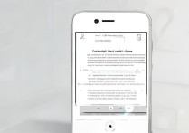 微信支付分怎么查？新手必看的查询步骤在这里！