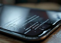 苹果手机打不出去也接不了电话怎么回事