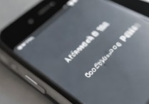 苹果6s手机屏幕解锁密码忘了怎么解锁吗