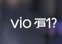 vivo 查找手机官网是什么？