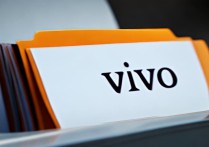 vivo手机文件夹在哪里