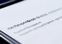 荣耀畅玩20有指纹识别吗？没有的话怎么设置面部解锁？