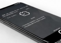 苹果7手机怎么查看id，苹果7查询Apple ID登录方法