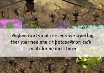 蚂蚁庄园星秀套装怎么得？新手快速获取攻略来了