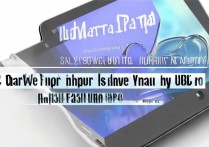 华为 matepad 平板支持 OTG 功能吗，华为 matepad 平板能不能插 u 盘