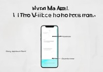vivo手机怎么移动应用到桌面？应用搬家步骤详解