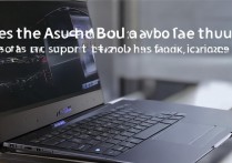 华硕灵耀 x 双屏 Pro 有手写笔吗？支持面部解锁吗