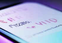 vivo格式化在哪