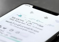 vivoy31怎么设置应用权限的？应用权限管理在哪设置