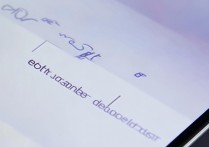 vivo手机怎么设置默认，vivo手机默认应用设置方法