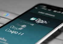 oppo手机如何修改已安装应用的名称？