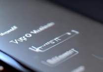 vivovolte通话怎么关闭