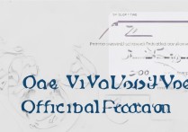 vivo官方固件怎么用？详细步骤与注意事项解析