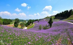 花千谷文化旅游风景区