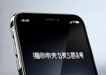 iPhone 16e欧洲首月销量不及 SE 系列