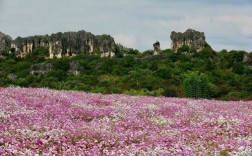 乃古石林风景区