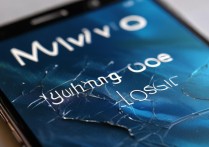 vivo手机手机丢了