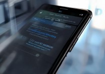 vivox9卡2怎么选择网络？vivox9卡2怎么设置上网