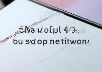 oppo卡2怎么设置4g网络？详细步骤是什么？