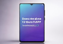 Redmi Note 12 Turbo支持LHDC音频编码吗？