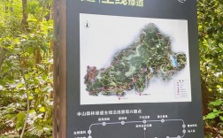 半山森林公园旅游攻略，如何规划一次完美的自然之旅？