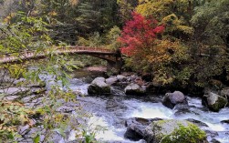 沈阳到十五道沟风景区