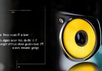 VIVO X7 Plus相机拍出来发黄，怎么调色解决？