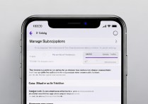 苹果 icloud 怎么取消续费？
