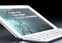 ipad mini4可以画画吗