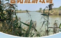 合阳洽川旅游攻略，如何规划一次完美的旅行体验？