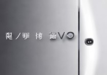 vivo中文叫什么手机