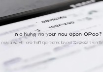 oppo手机怎么修改姓名？设置里找不到入口怎么办？