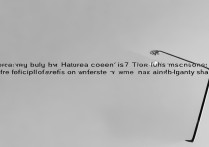 华为畅想7屏幕险去哪买？官网还是第三方划算？