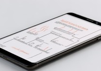 vivoy29l怎么放双卡？详细步骤与注意事项是什么？