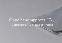 oppo reno4支持5g吗 配置用的是啥处理器？