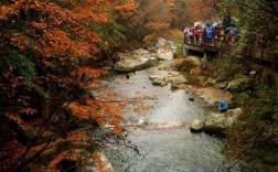 光雾山风景区电话