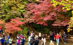 关门山风景区枫王