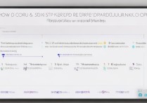 oppo手机备份恢复教程，新手怎么快速操作数据不丢失？