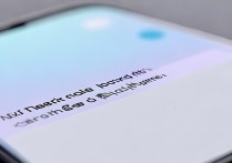 vivo手机显示hd啥意思