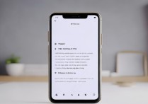 小米12X怎么换壁纸？详细步骤教程在这里！