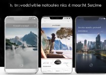 vivo三摄怎么用？超广角、人像、夜景模式全解析