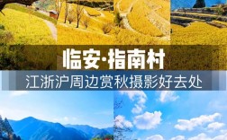 指南村旅游攻略，如何规划一次完美的旅行体验？