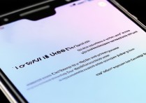 vivo 手机怎么关闭安全模式？
