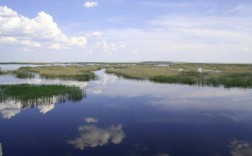 辉河湿地景区