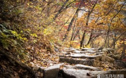 怀柔喇叭沟门风景区