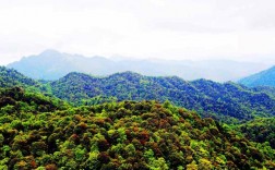 龙南九连山风景区